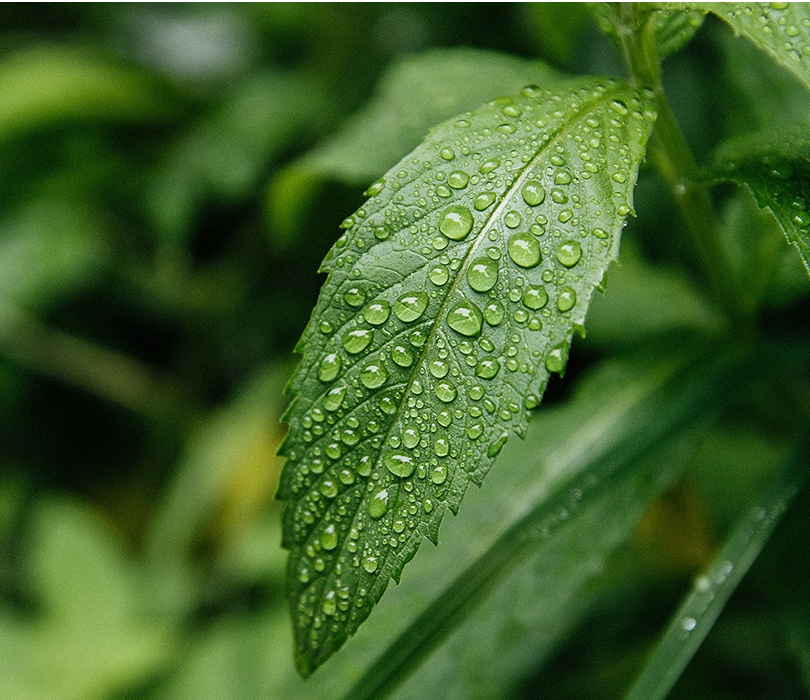 Produção de hidrogênio verde com eletricidade renovável