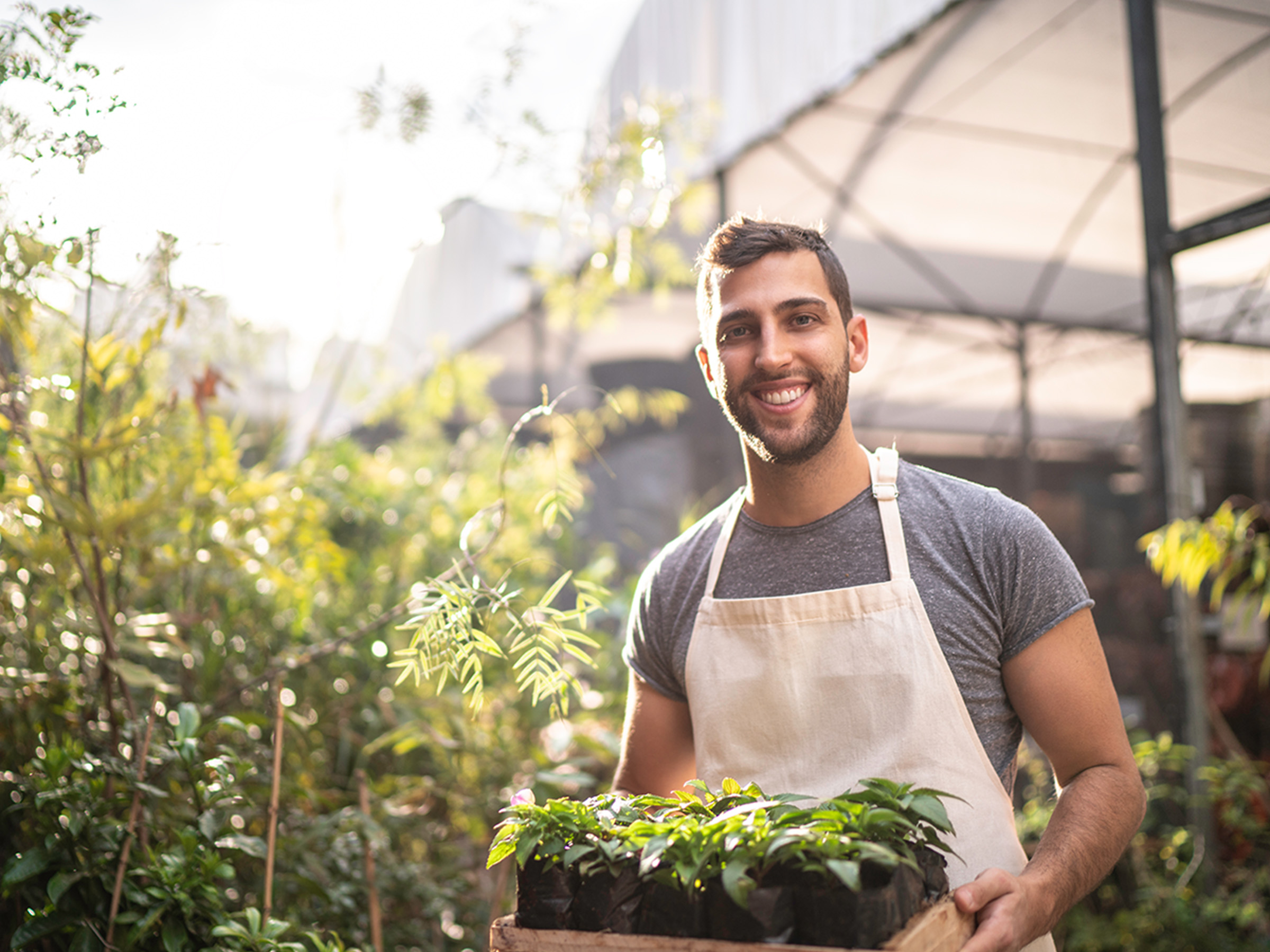 Employ Planting | Brazil Iron